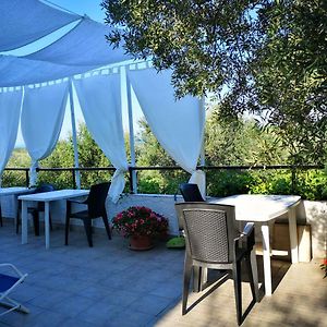 B&B Stella dell'Adriatico